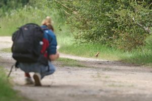 Ook een hop spotten? - foto: Luc Verhelst