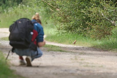 Ook een hop spotten? - foto: Luc Verhelst