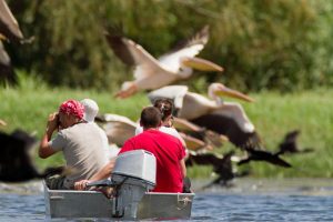 Varen door de Donau-delta - foto: Billy Herman