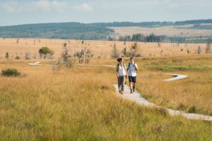 Wandelaars in de Hoge Venen - foto: Dominik Ketz