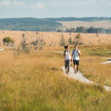 Wandelaars in de Hoge Venen - foto: Dominik Ketz