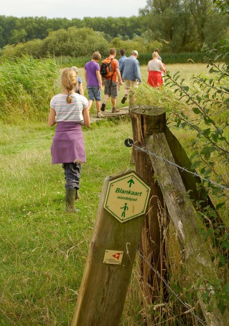 Zomers wandelen - foto: Eric Malfait