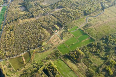 Bedmarlinie - foto: Ludo Goossens