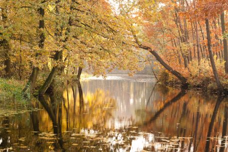 Fortgracht - foto: Ludo Goossens