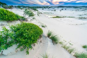Stuivend zand rond een duinpanne - foto: Nico van Kappel