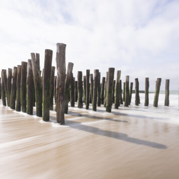 Palenrijen - foto: Ann Backx