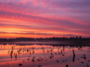 Avond in het veen - foto: Bob Luijks
