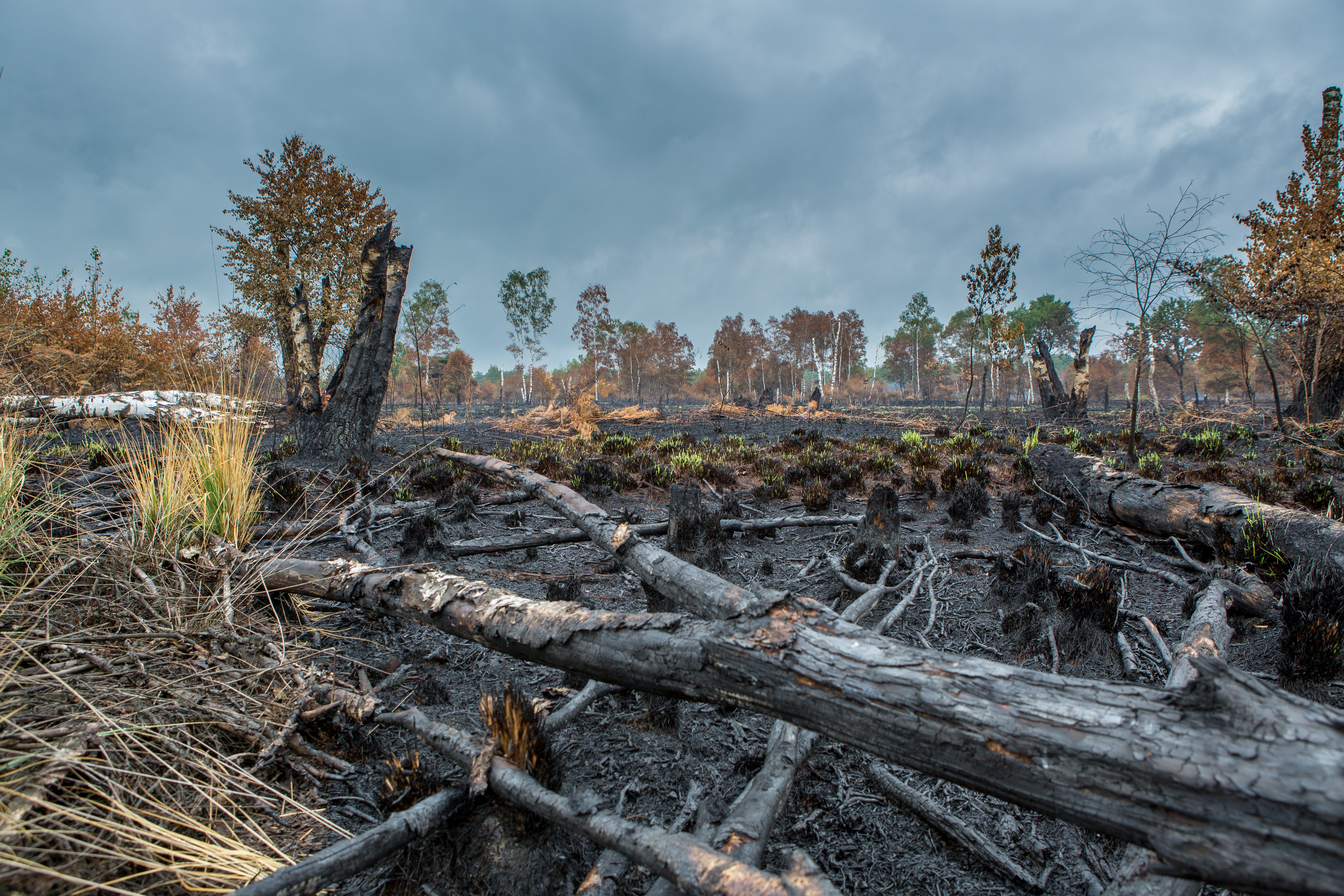 Peel na brand - foto: Wim Aerdts