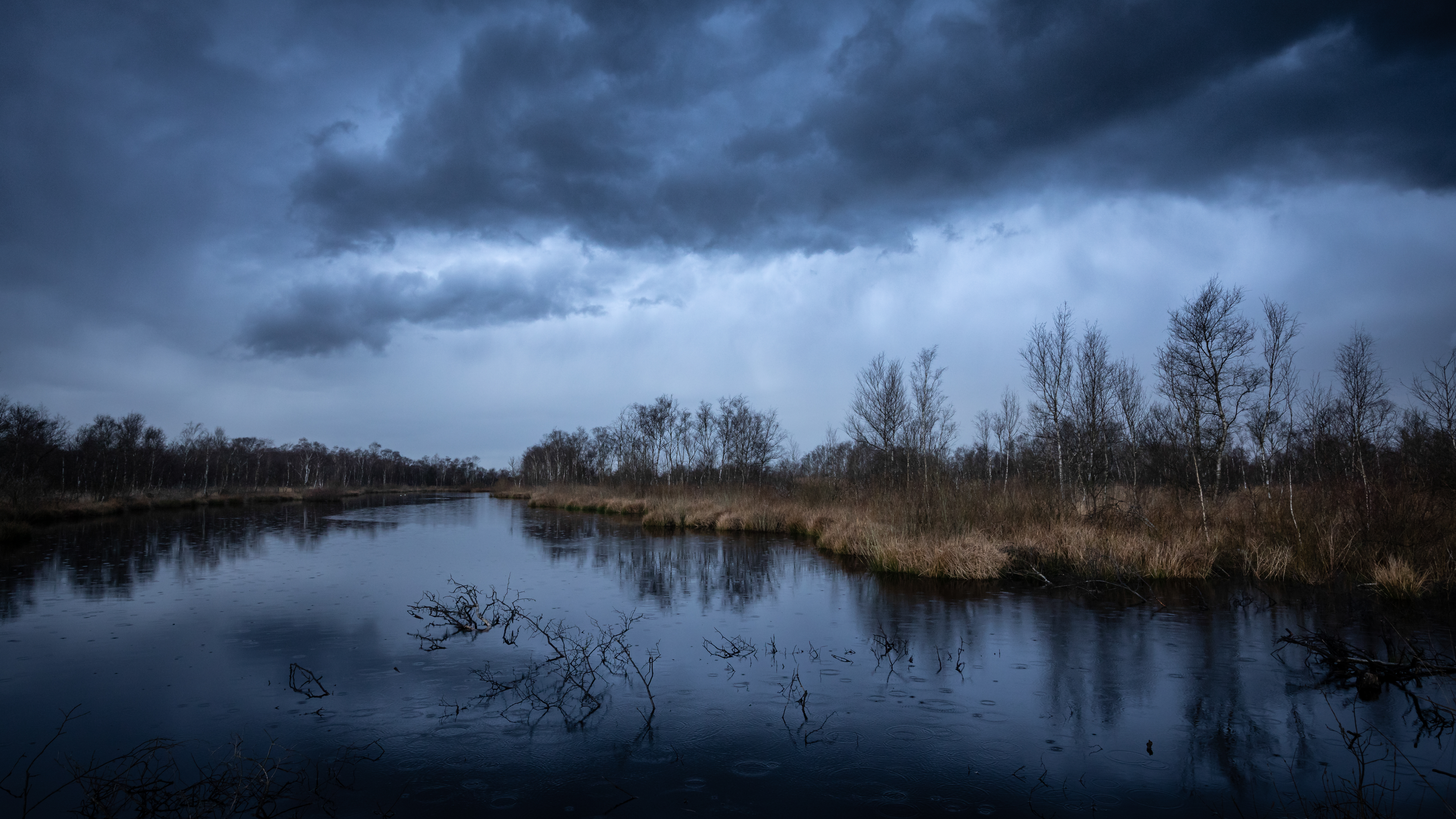 Regenwolken boven het veen - foto: Bob Luijks