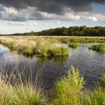 Turfvaart - foto: Bob Luijks
