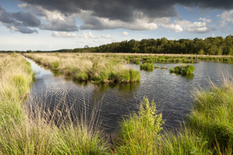 Turfvaart - foto: Bob Luijks