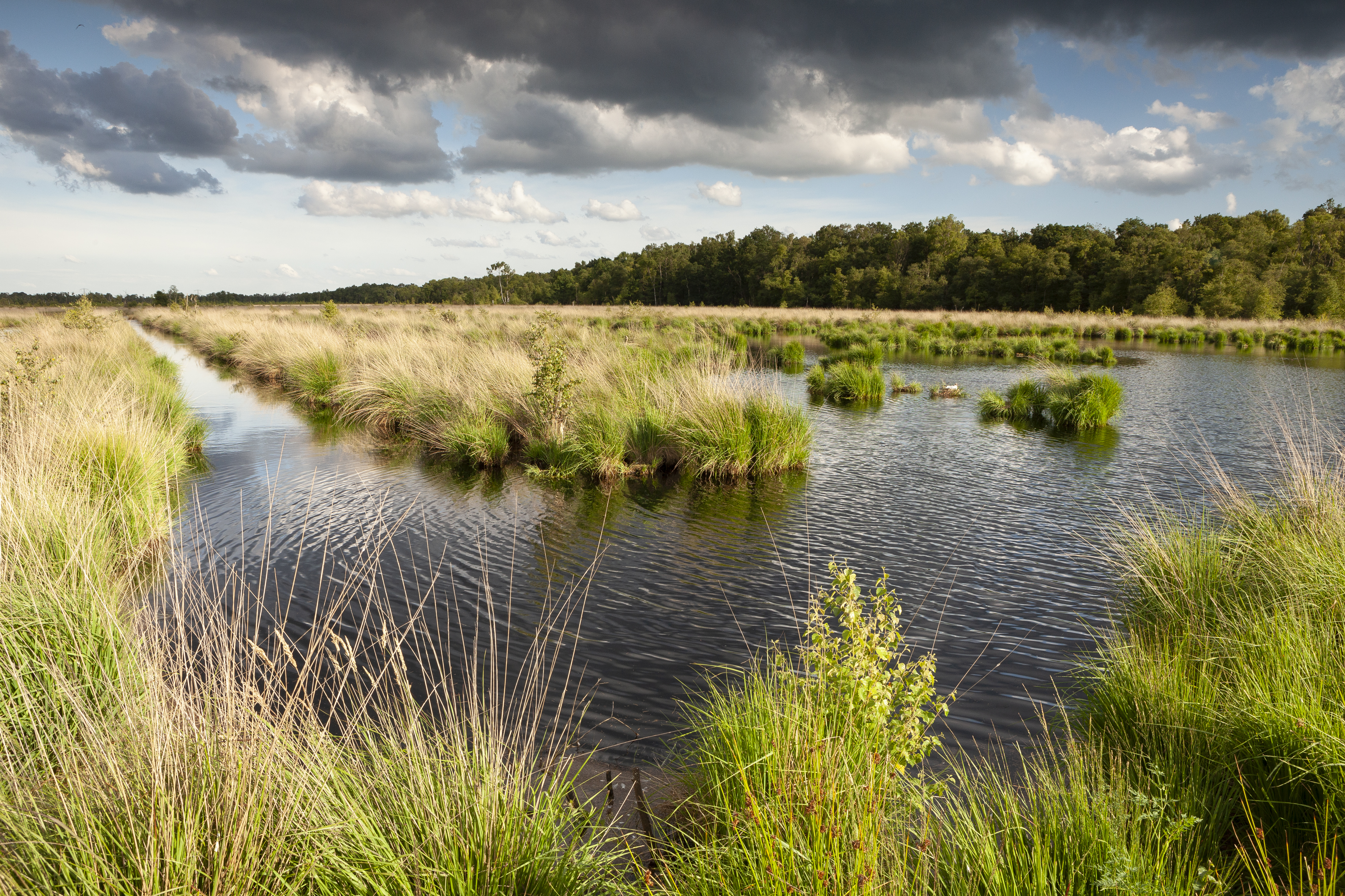 Turfvaart - foto: Bob Luijks