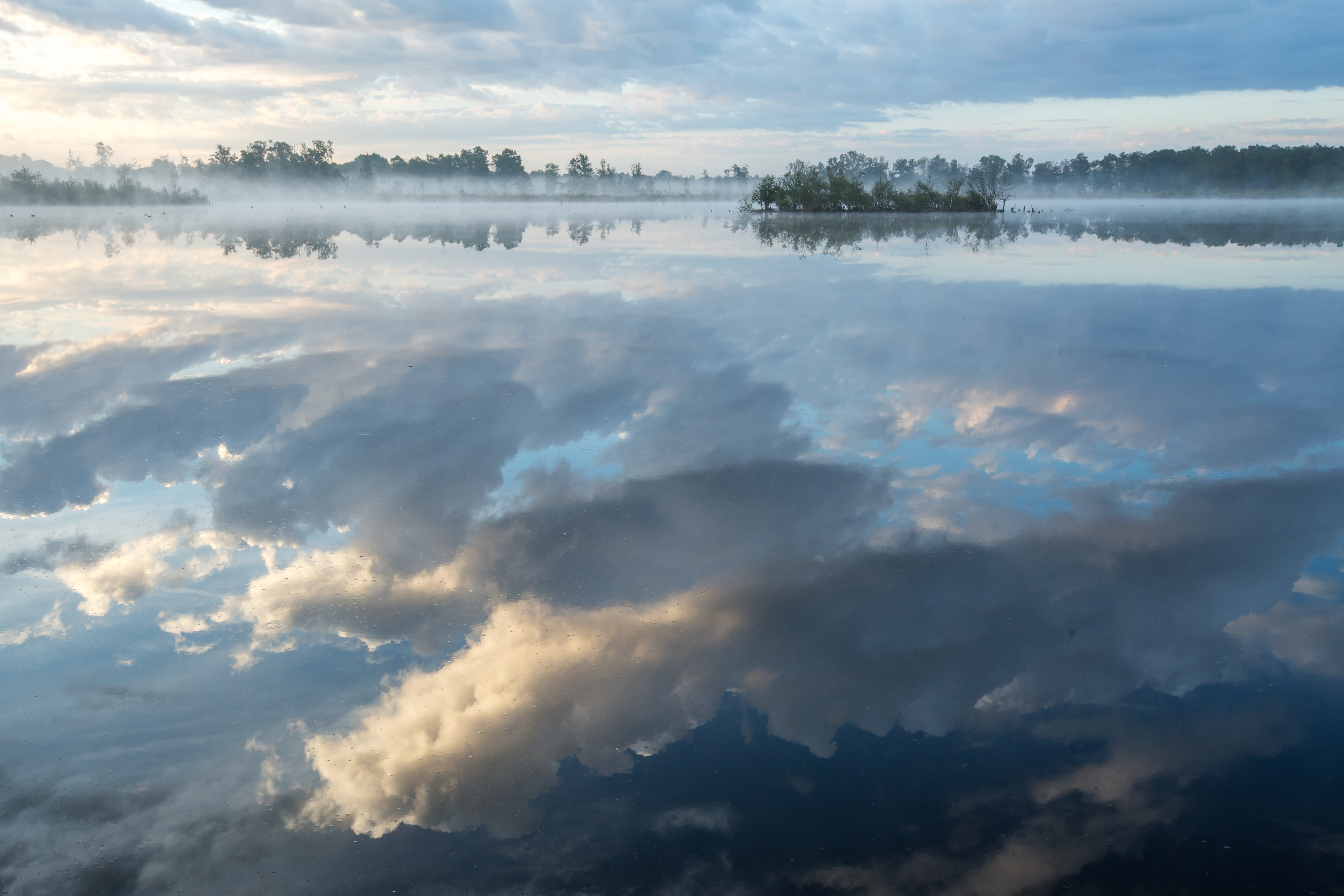 Reflecties - foto: Wim Aerdts