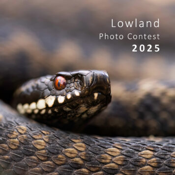 Lowland Photo Contest 2025 - Cover brochure
