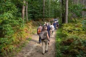 Holle weg - foto: Jan Depelseneer