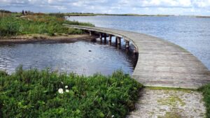 Plankenpad in Marker Wadden - foto: Shutterstock