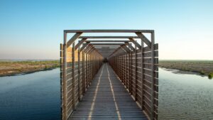 Wandelen naar de kijkhut - foto: Shutterstock