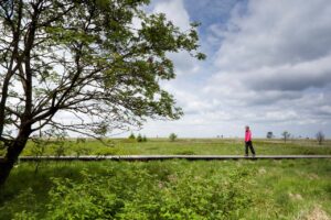 Wandelen in de Hoge Venen - foto: Bob Luijks