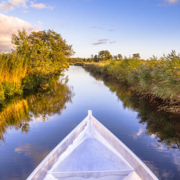 Fluistervaren - foto: Rudmer Zwerver