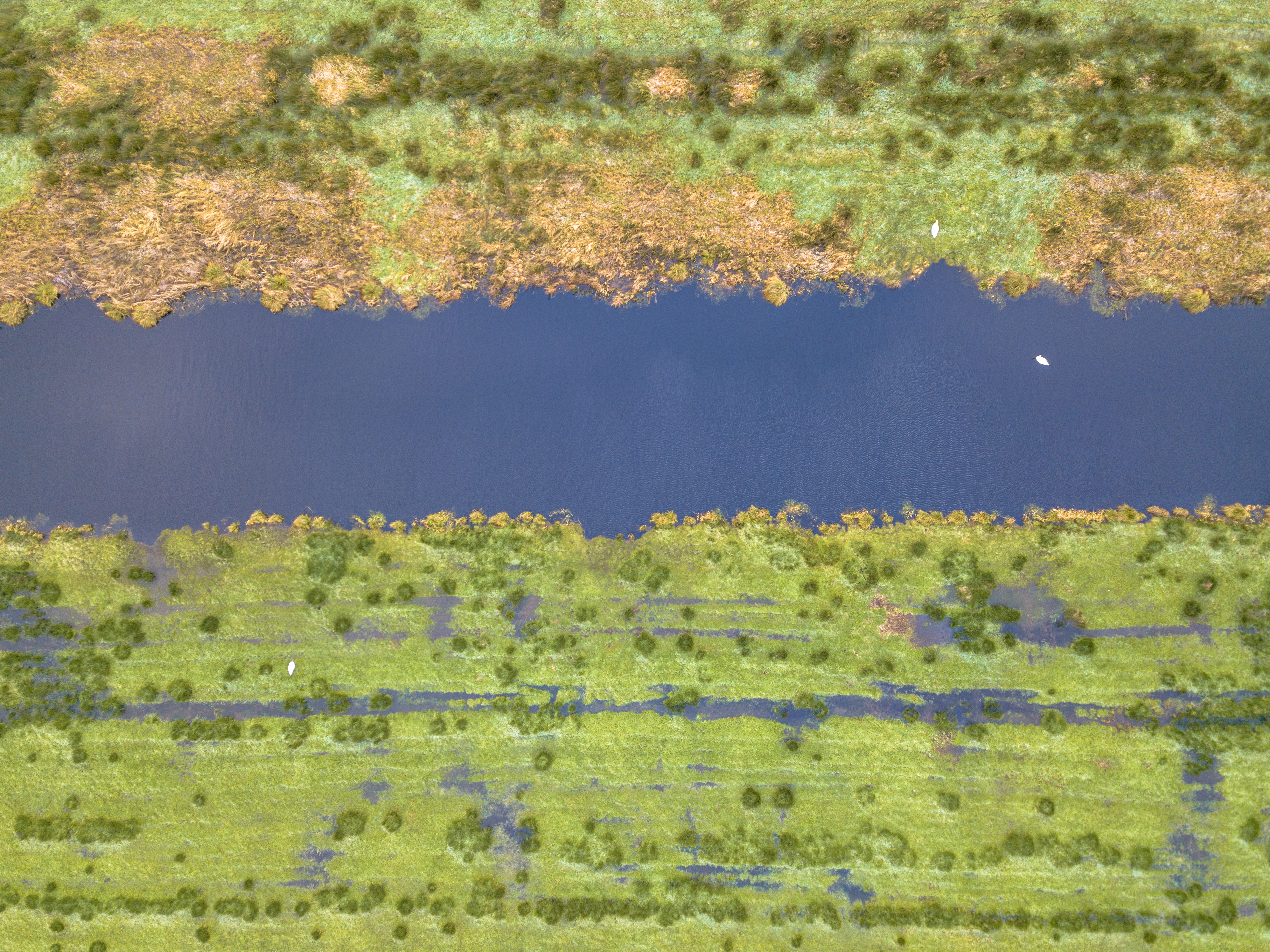 Kanaaltje - foto: Rudmer Zwerver