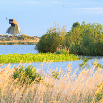 Unieke uitkijktoren op Marker Wadden - foto: Natuurmonumenten