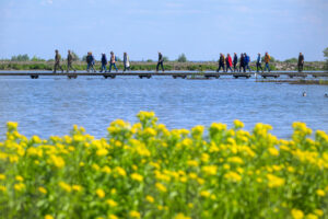 Vlonderpaden in Marker Wadden - foto: Natuurmonumenten