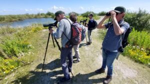 Vogelparadijs Marker Wadden - foto: Natuurmonumenten