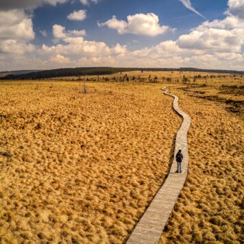 Plankenpad in de Hoge Venen - foto: Shutterstock
