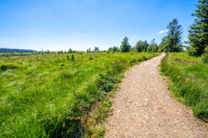 Wandelpad in de Hoge Venen - foto: Sina Ettmer