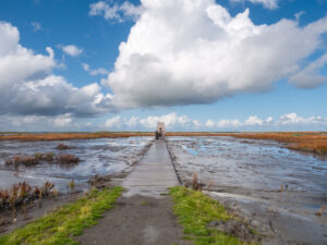 Vlonderpad naar kijkhut Duikeend op Marker Wadden - foto: Shutterstock