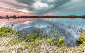 Weerribben-Wieden - foto: Rudmer Zwerver