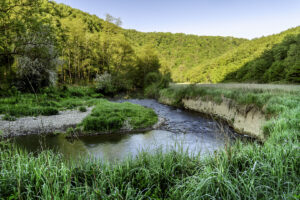 Benedenloop van de Hermeton - foto: Hans Debruyne