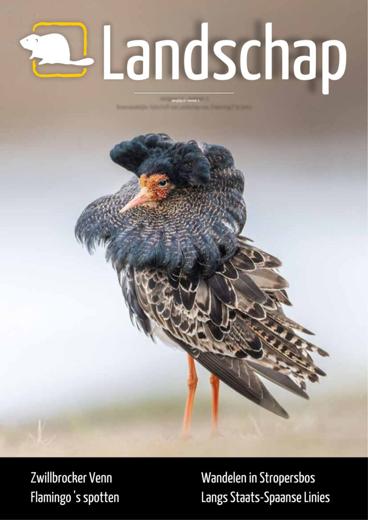 Landschap_JG14_NR03_SCREEN.pdf