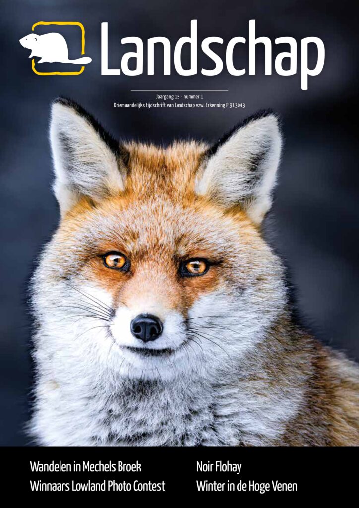 Landschap_JG15_NR01_Cover