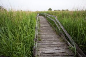 Plankenpad in Romelaëre - foto: Misjel Decleer