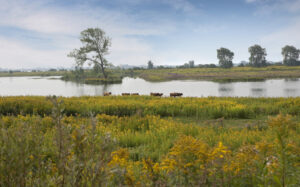 Zicht over Tiengemeten - foto: Natuurmonumenten