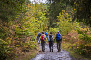 Herfstig wandelen in de Hoge Venen - foto: Jan Depelseneer