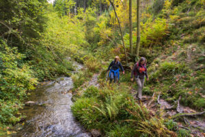 Wildwater in de Hoge Venen - foto: Jan Depelseneer