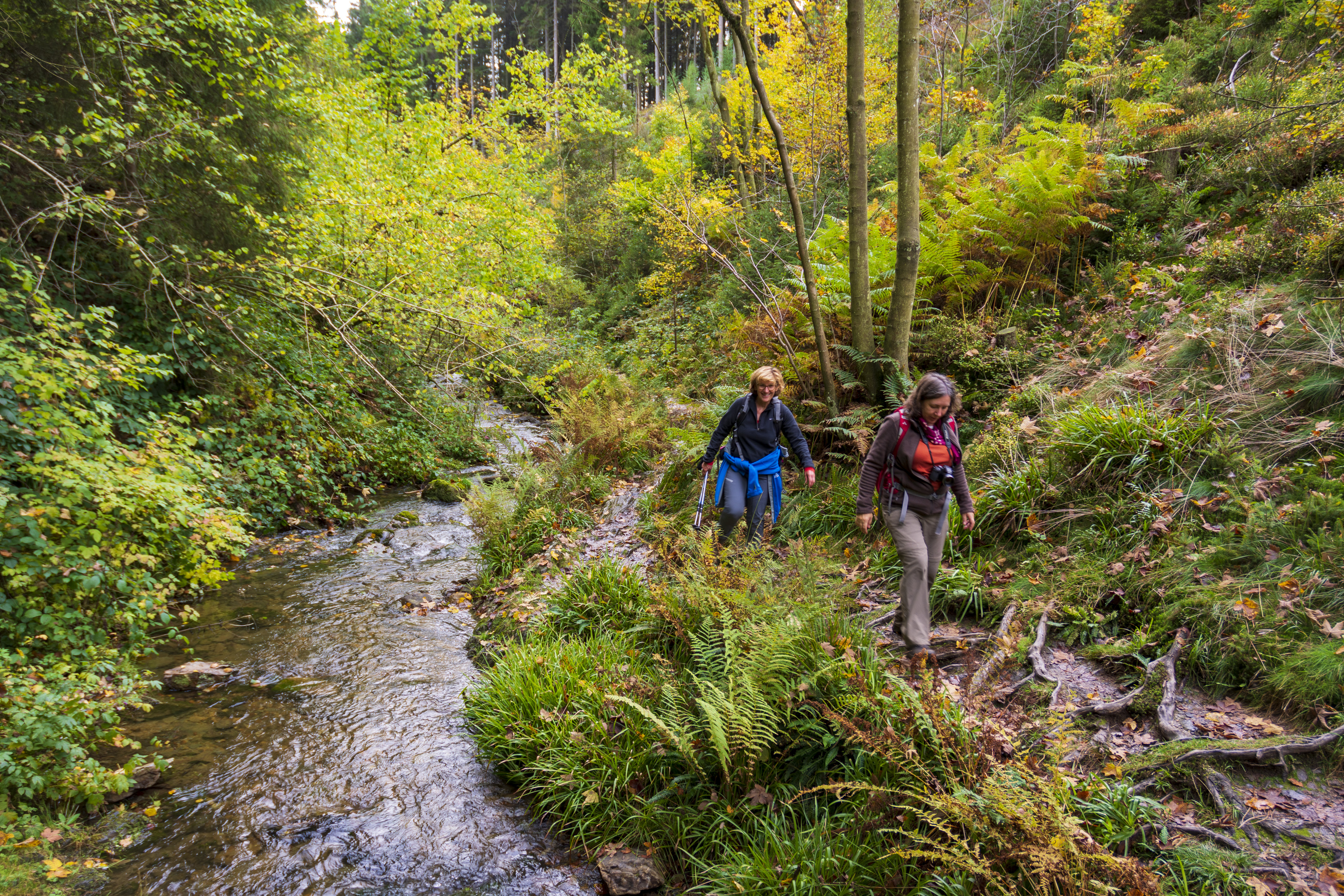 Wildwater in de Hoge Venen - foto: Jan Depelseneer