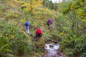 Heerlijk wandelen in de Hoge Venen - foto: Jan Depelseneer