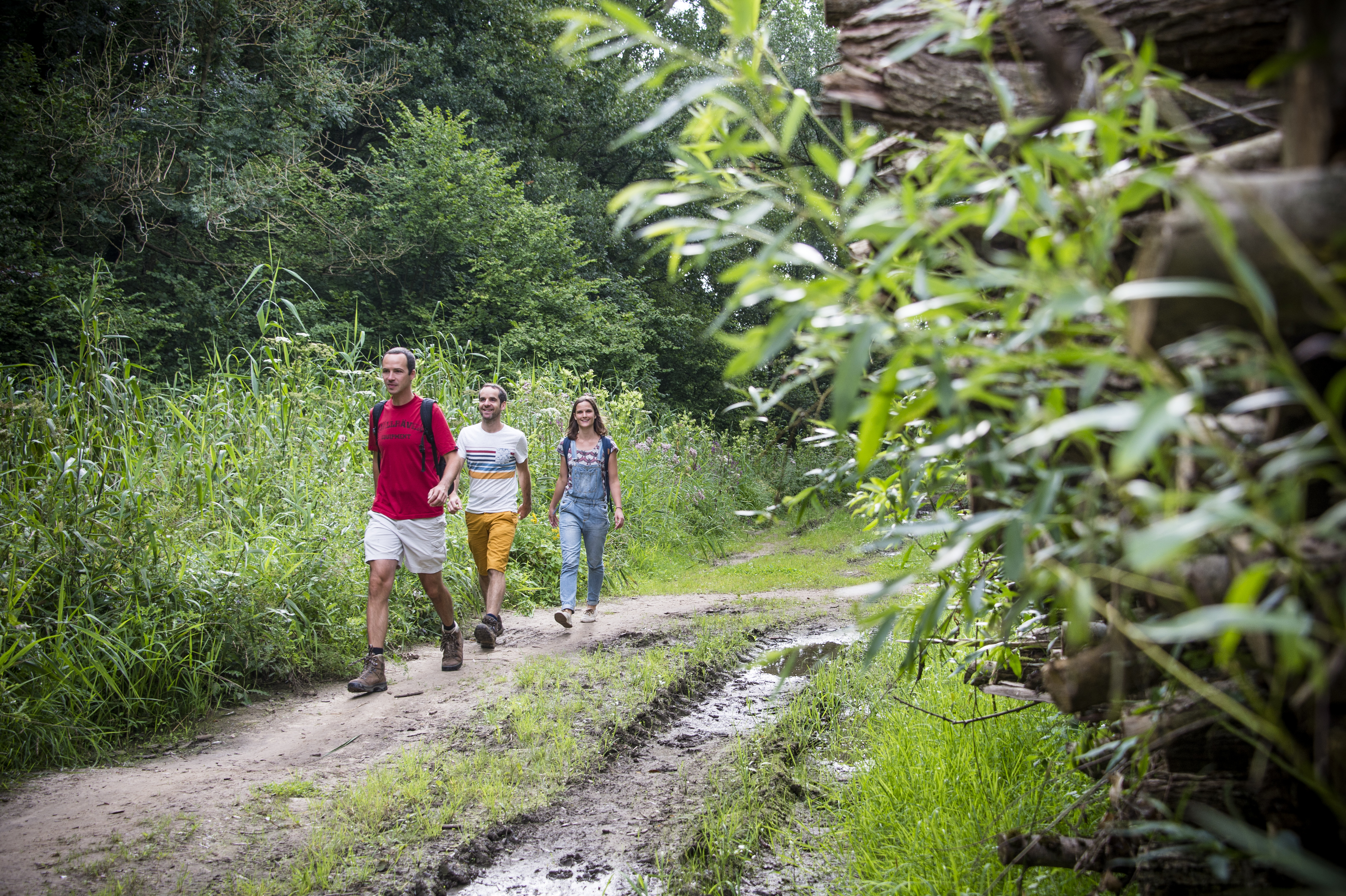Wandelen in de Dijlevallei - foto: VISIT Vlaams-Brabant/ Lander Loeckx