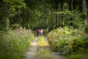 Heerlijk wandelen - foto: Walther De Munter