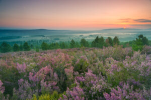 Ontdek Extremadura - foto: Billy Herman