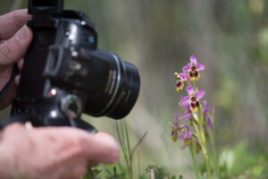 Paradijs voor natuurfotografen - foto: Billy Herman