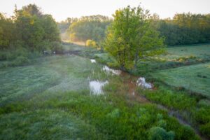 Ruige riviernatuur - foto: Wim Dirckx