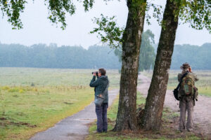 Speuren naar wolven - foto: Katrien Quartier