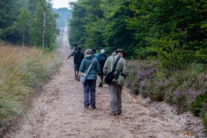 In het hart van de Veluwe - foto: Katrien Quartier