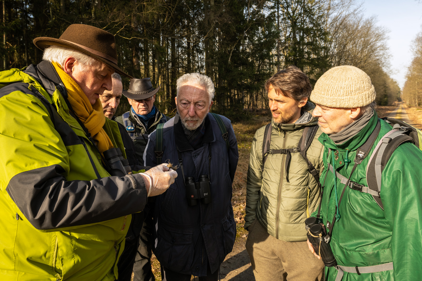 Wolvendrollen - foto: Sandy Spaenhoven