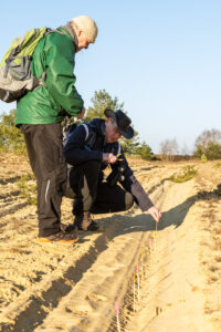 Wolvenspoor in kaart brengen - foto: Sandy Spaenhoven