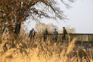 Genieten in Göhrde - foto: Sandy Spaenhoven